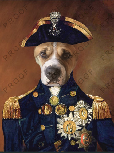 Customer photo review of Lord Nelson – Custom Vintage Pet Canvas