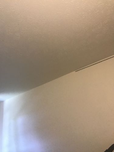 Customer photo review of Deep Curly Transparent Lace Front Wigs Virgin Human Hair Black Wig