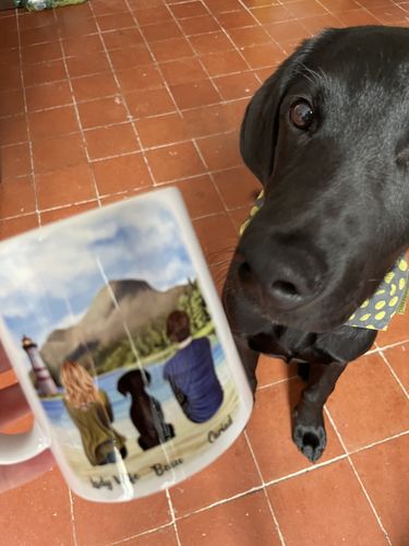 Customer photo review of Couple & Dogs -You me and the dog Personalised Mug