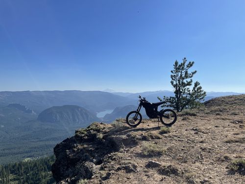 Customer photo review of Talaria Sting