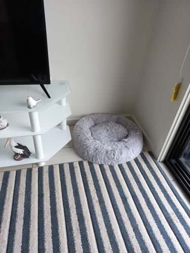 Customer photo review of Calming Dog Bed™ Australia-60% Off Today