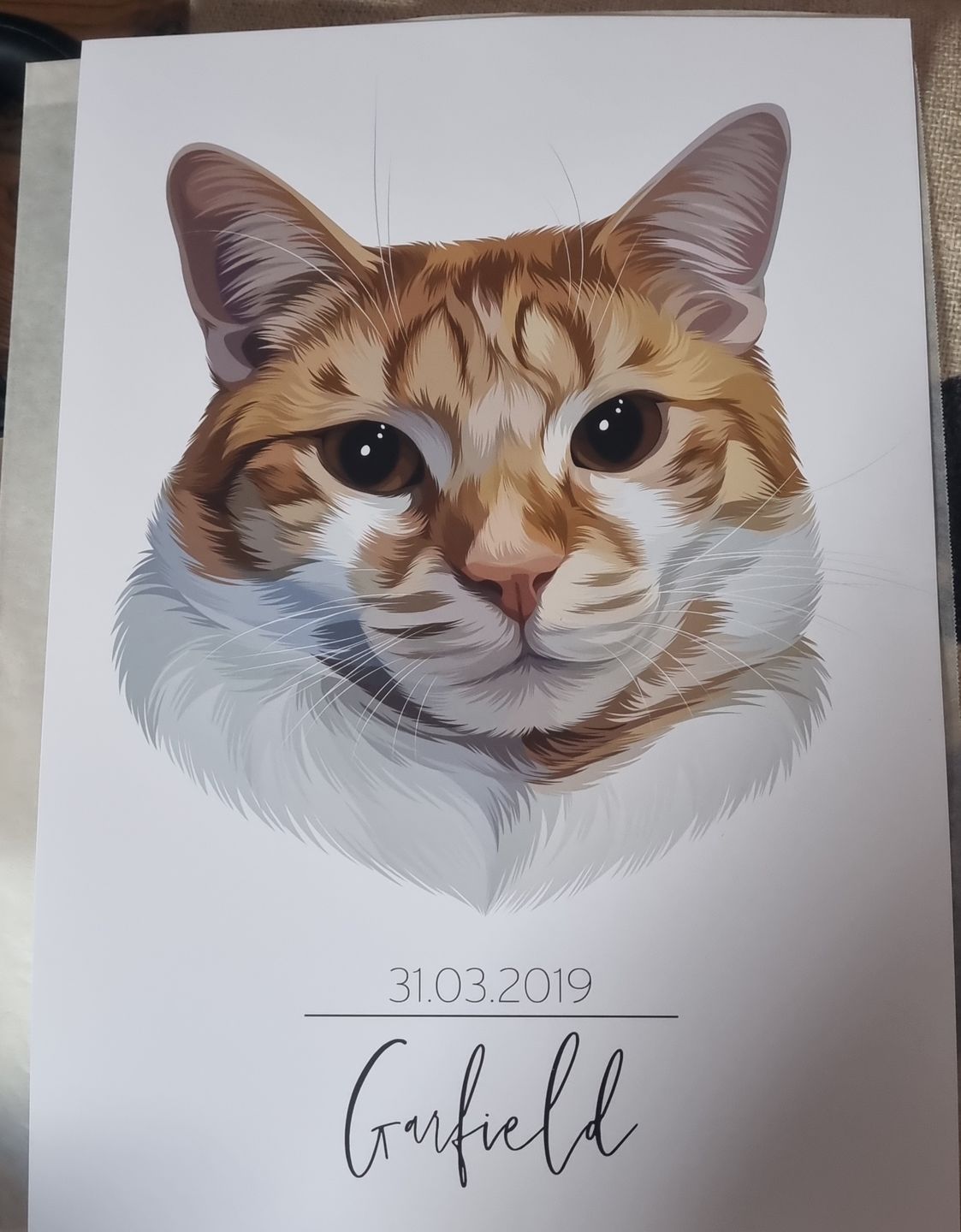 Customer photo review of Portrait deines Tieres