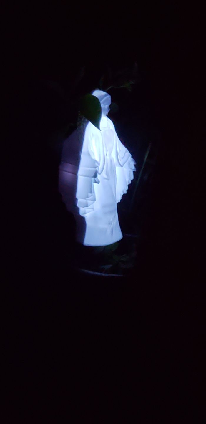 Customer photo review of Eternal Light Blessed Mary