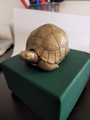 Customer photo review of Bronze Tortoise Box