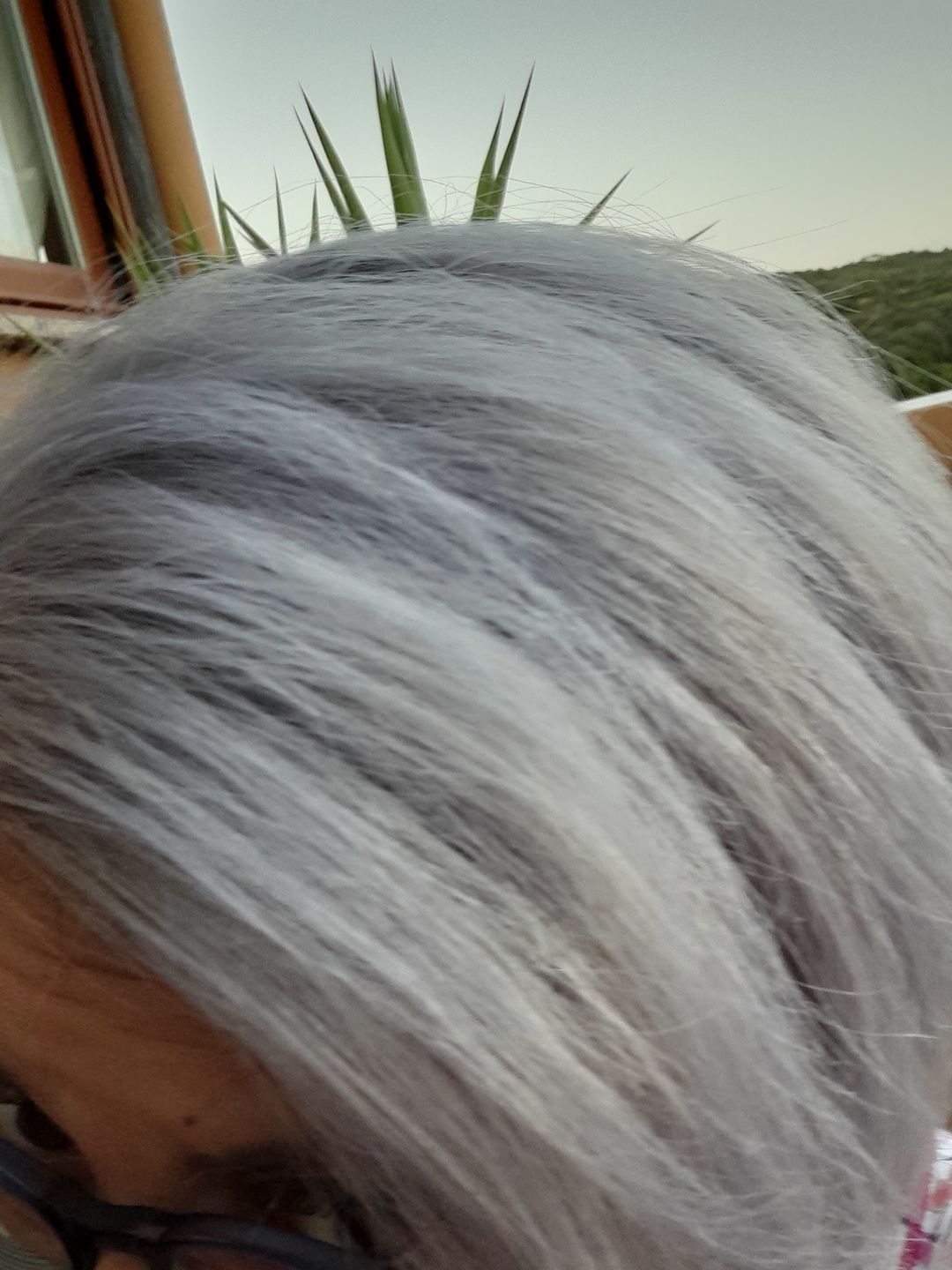 Customer photo review of Perla 1L