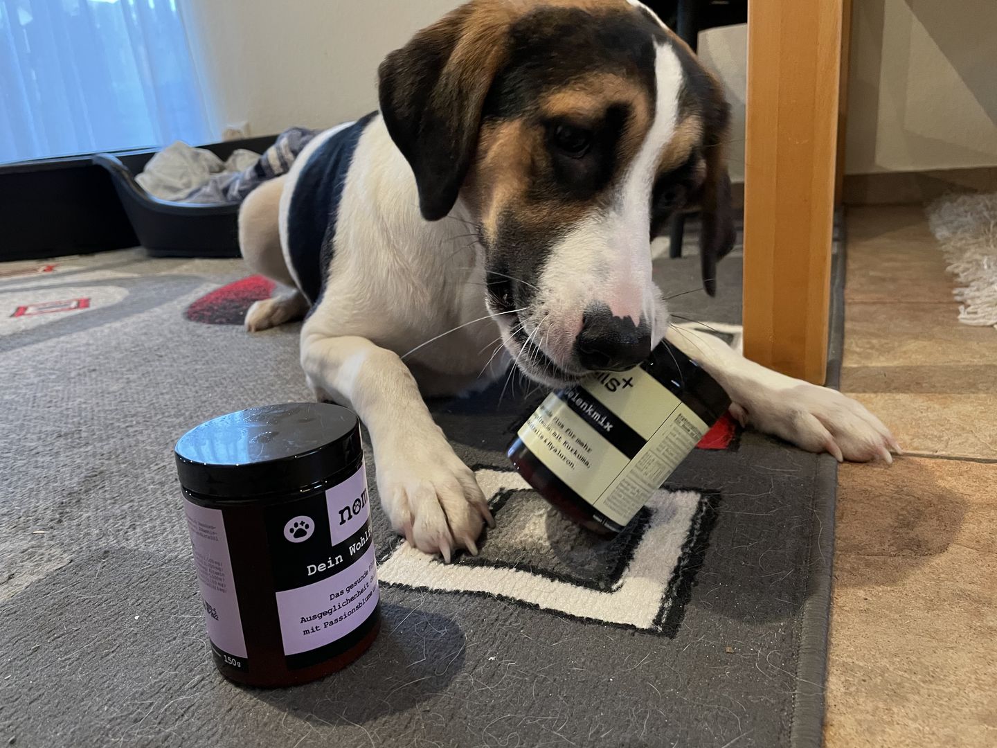 Customer photo review of Gelenkmix für Hunde mit Teufelskralle, Glucosamin und Kurkuma