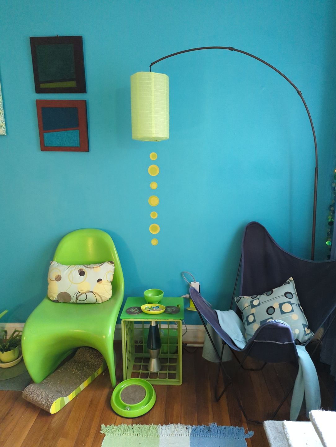 Customer photo review of 8" Light Lime Cylinder Paper Lantern