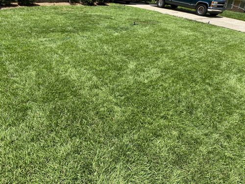 Customer photo review of Cal-Tide