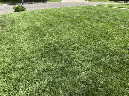 Customer photo review of The Five 0 Five