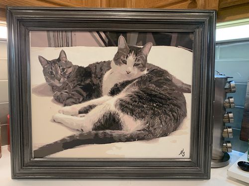 Customer photo review of YOUR PHOTO AS PAINT BY NUMBERS