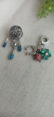 N. X. review of 925 Sterling Silver Good Luck Charm image 1 out of 1