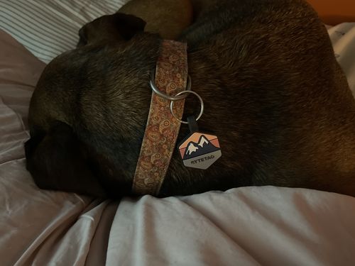 Customer photo review of Explorer Silicone