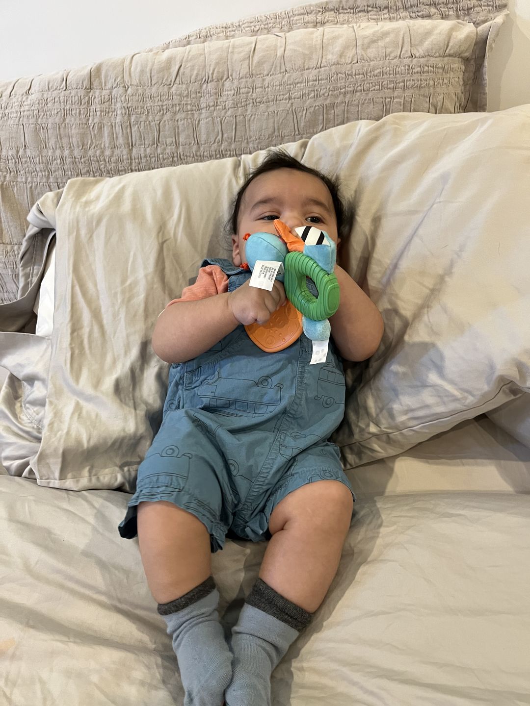Customer photo review of Steel Blue Socks
