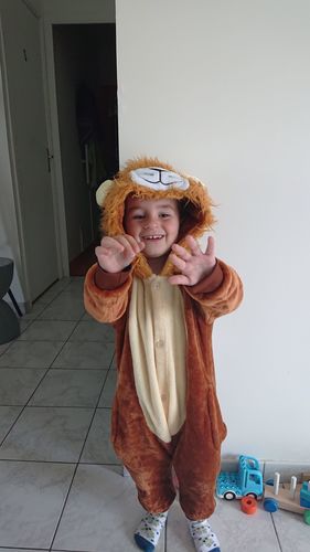 Customer photo review of WAM™ - Déguisement Lion Enfant