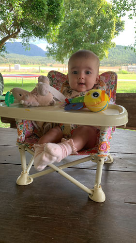 Customer photo review of Paloma baby chair v2