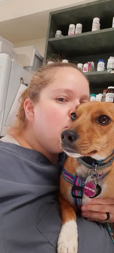 Customer photo review of Woof Pack