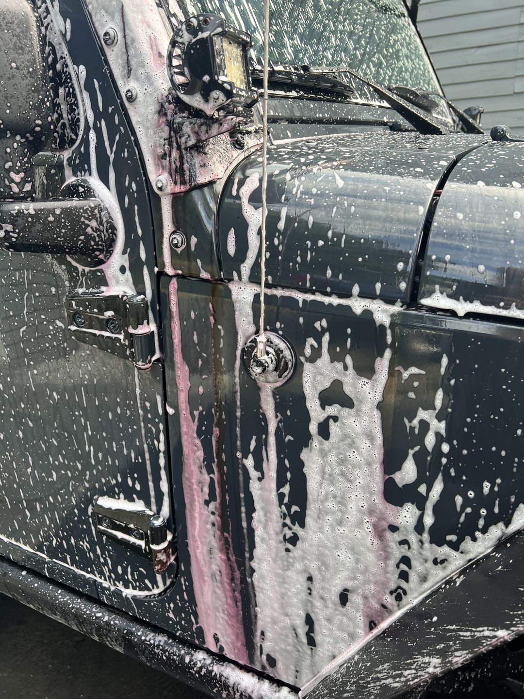 Customer photo review of Iron Remover