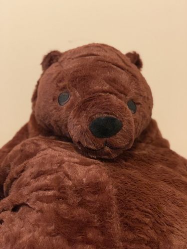 Customer photo review of SKOGGY BEAR
