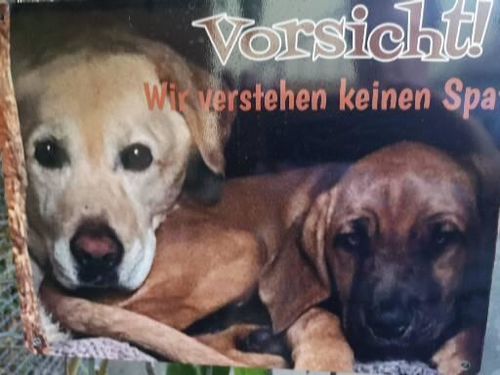 Customer photo review of Hunde-Türschild mit Foto & Wunschtext
