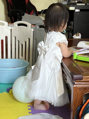 Customer photo review of Elegant Lace Princess Dress