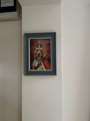Customer photo review of The King - Custom Vintage Pet Portrait