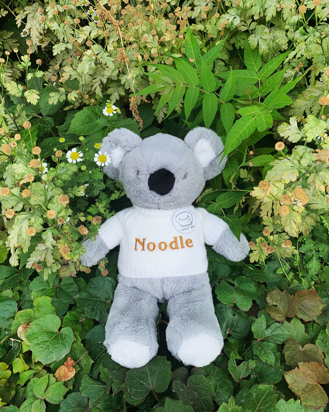 Customer photo review of Ricky the Koala - Jollyhugs™ Collection