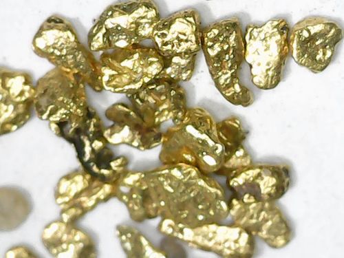 Customer photo review of *TROGO* Flawless '$5,000 GOLD NUGGET DISCOVERY' - Gold Panning Paydirt