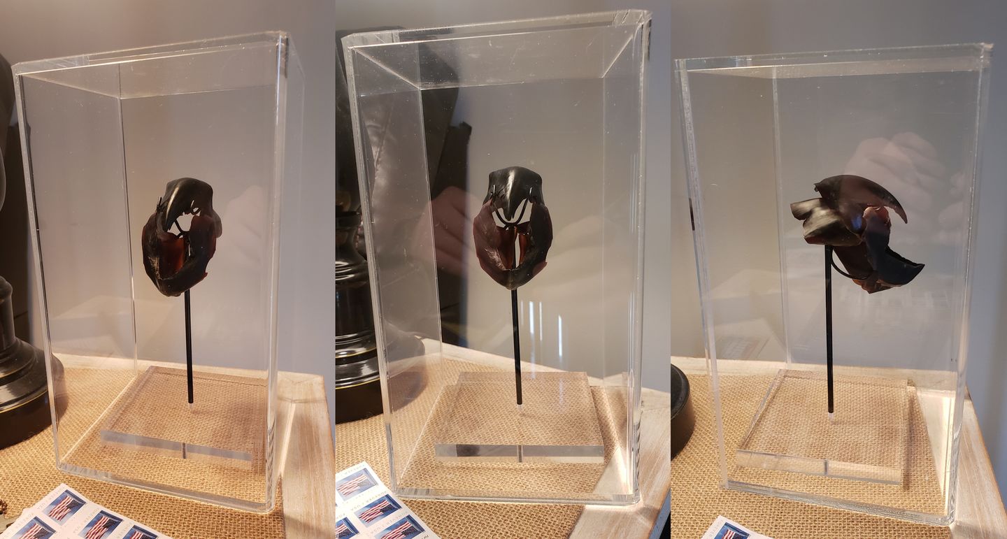 Customer photo review of Versatile Acrylic Display Case with Slide Back and Size Options