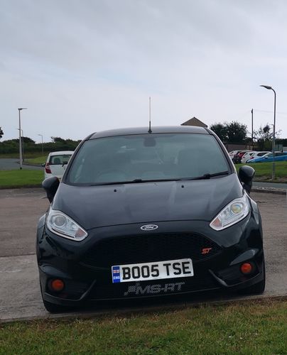 Customer photo review of Fiesta ST180 Fog Light Armour