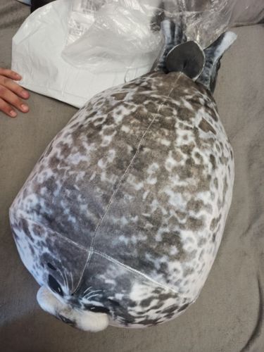 Customer photo review of Large Seal Pillow Doll Aquarium Plush Toy