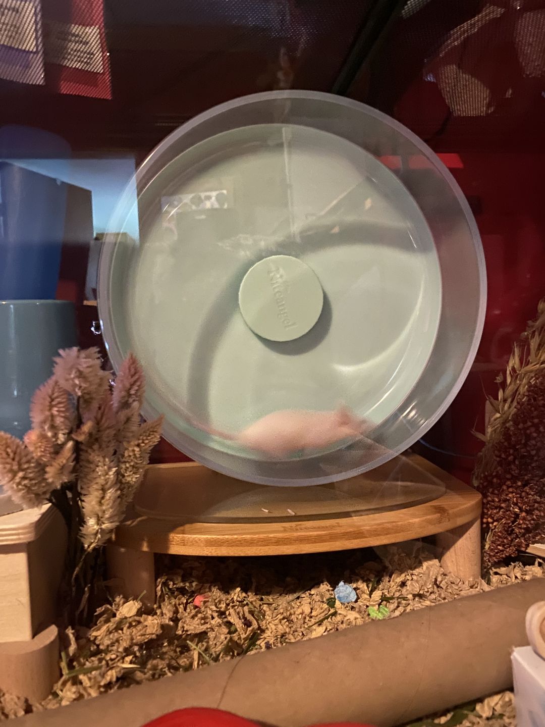 Customer photo review of Niteangel Super-Silent Hamster Exercise Wheels