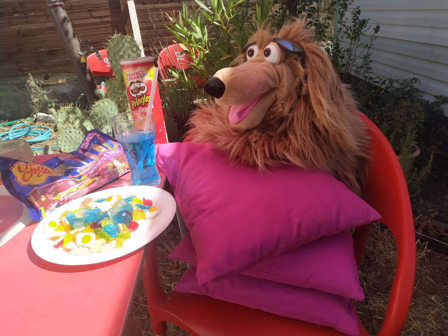 Customer photo review of La chienne Lulu Marionnette