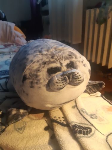 Customer photo review of Large Seal Pillow Doll Aquarium Plush Toy