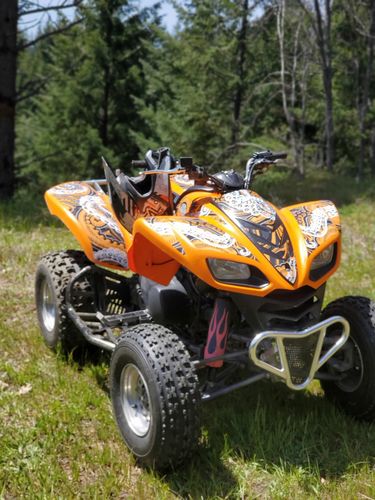 Customer photo review of Kawasaki KFX 700 Graphics