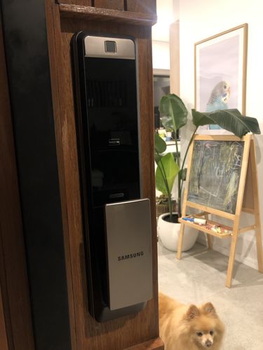 Customer photo review of Samsung SHP-DP609