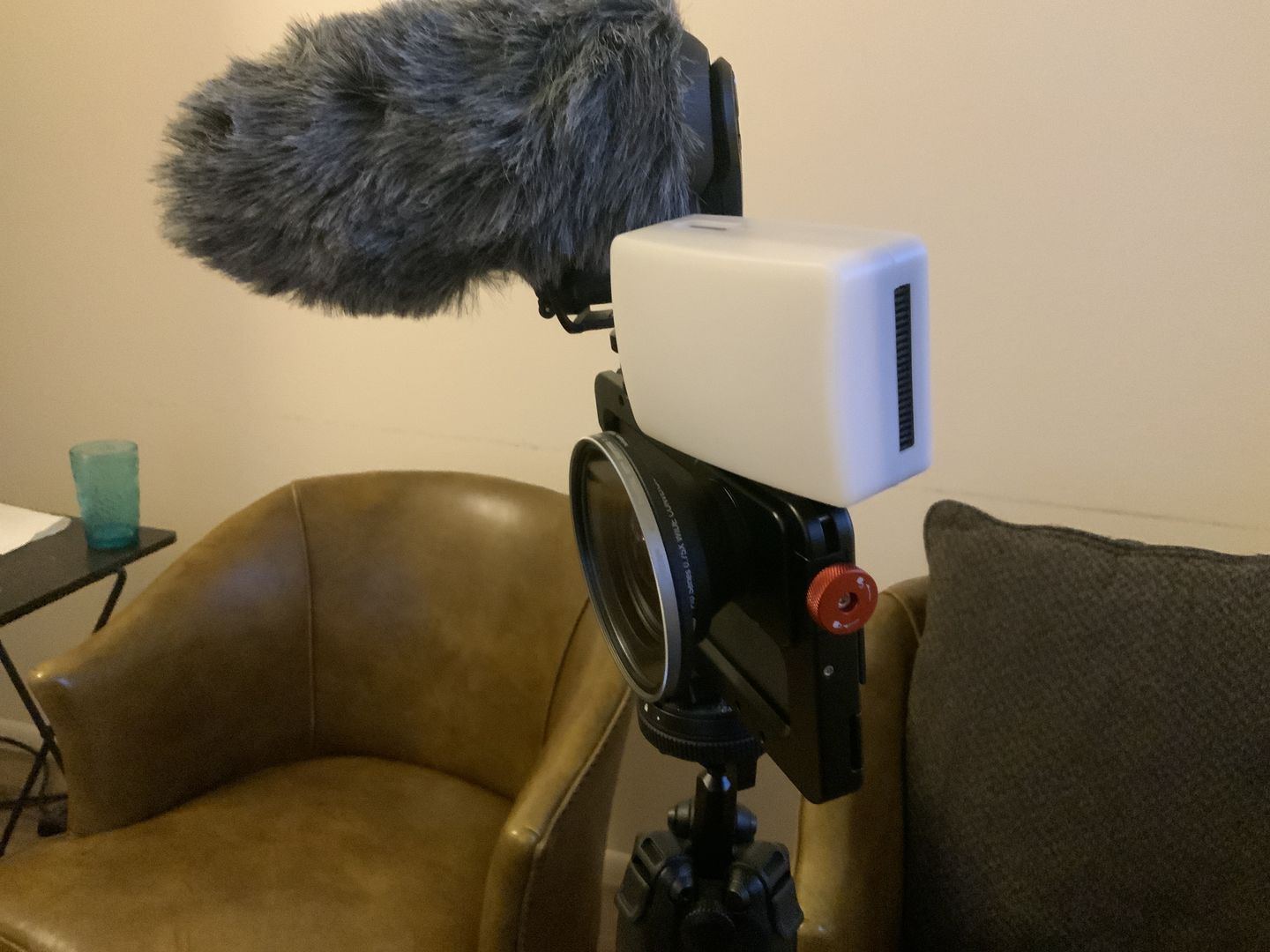Customer photo review of Beastgrip x Kenko Pro Series 0.75X Wide Angle Lens