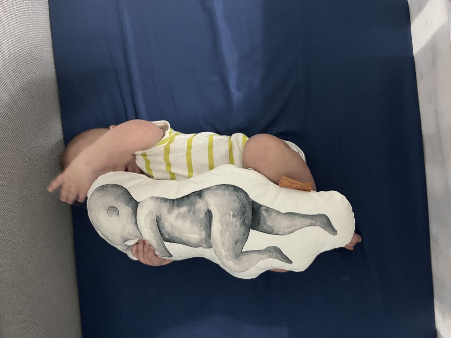 Customer photo review of Birth Pillow Watercolor One