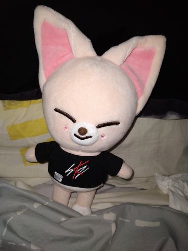 Customer photo review of Official Stray Kids SKZOO Plush (Original Ver)