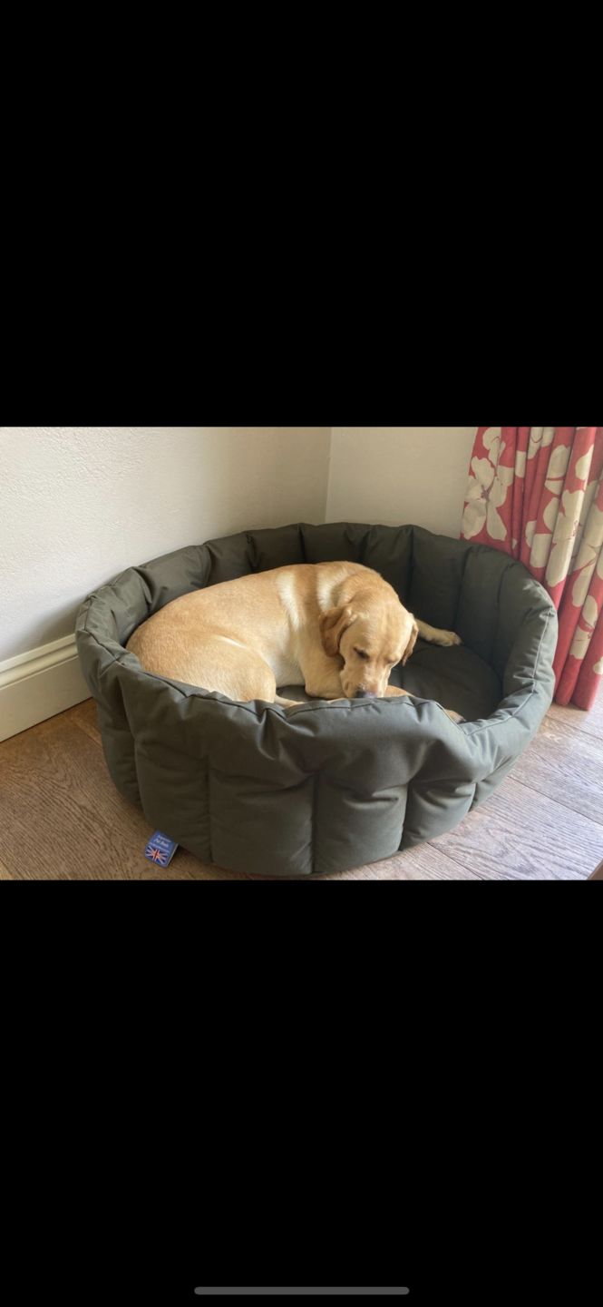 Customer photo review of Country Dog Heavy Duty Oval Waterproof Bed
