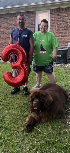 Customer photo review of Judy Blue Oceans 11 Bermuda Shorts