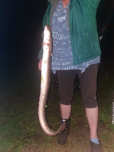 Customer photo review of 20g Smart Fishing Float