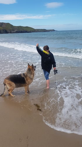 Customer photo review of Kong Signature Stick Dog Toy