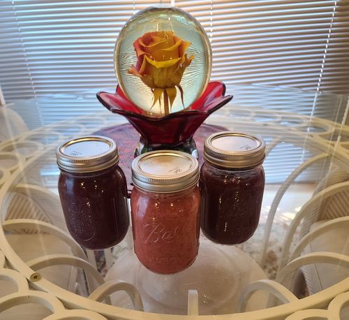 Customer photo review of Raw Full Spectrum Sea Moss