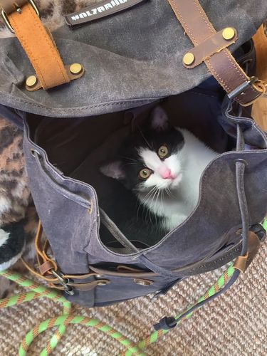 Customer photo review of Rucksack mit Patch (🌲)