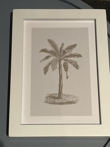 Customer photo review of Wests Beach | Esperance