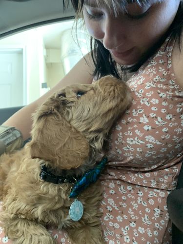 Customer photo review of Paw & Bones