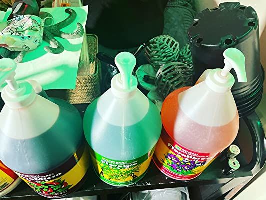 Customer photo review of General Hydroponics Flora Series Gallon Bundle