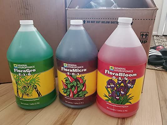 Customer photo review of General Hydroponics Flora Series Gallon Bundle