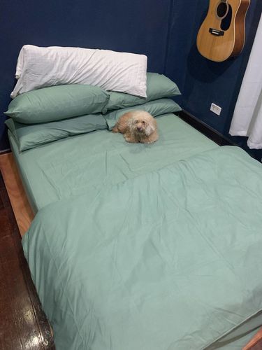 Customer photo review of PLAIN BEDDING SETS