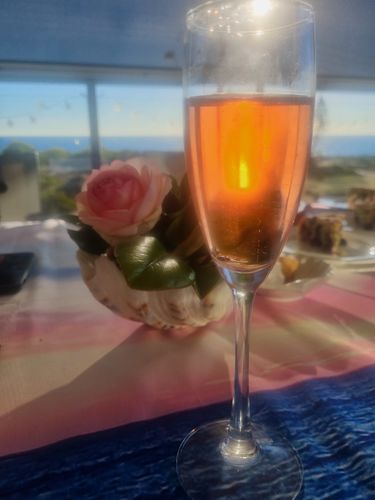 Customer photo review of Sparkling Tempranillo Rosé | 6 Pack